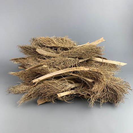Palm Head x 5, approx. 30 to 60 cm long, by 5 to 10 cm wide, Natural Dried Floral Deco