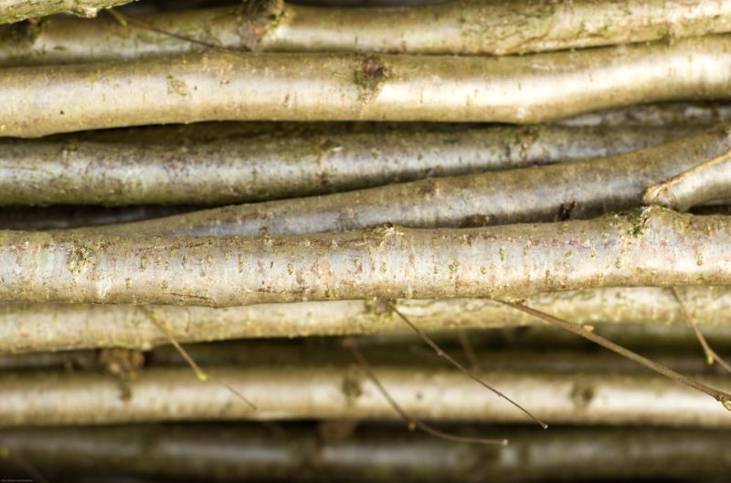 Rustic Hazel bundles, approx. ½”, 1” an 2” diameter