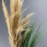 Pampas Grass x 5 stems 1m - www.BrandonThatchers.co.uk Pampas Grass x 5 stems 1m - www.BrandonThatchers.co.uk