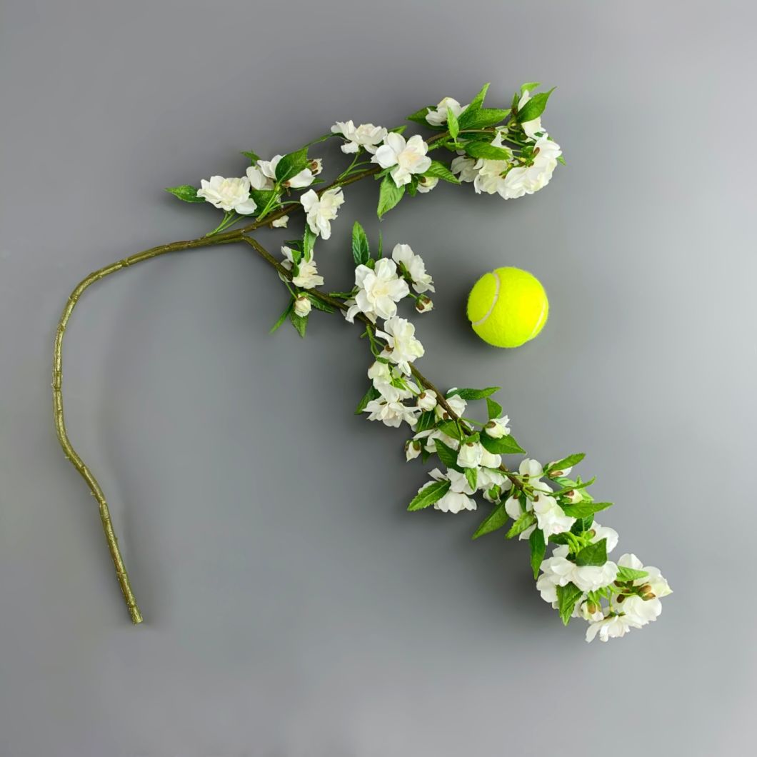 Apple Blossom - www.BrandonThathers.co.uk IMG_6379.jpg