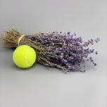Lavender 30cm long - www.BrandonThatchers.co.uk