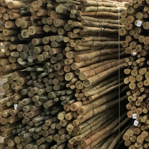 Eucalyptus Poles Cleaned treated outdoor use