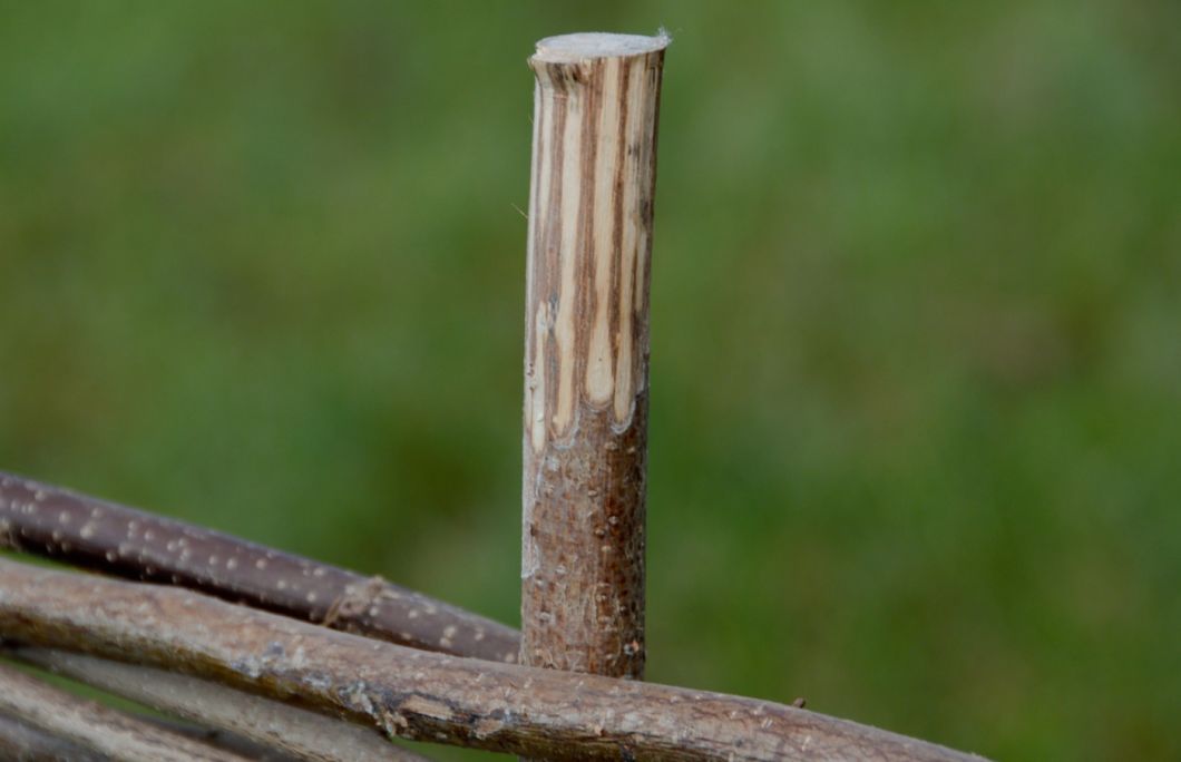 Full hazel Hurdle - www.brandonthatchers.co.uk BRANDON THATCHER-4-91.jpg