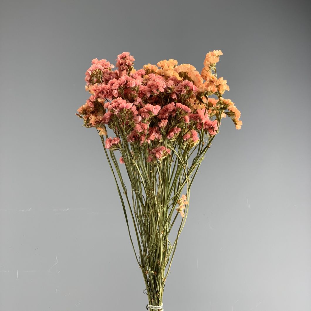Statice, bunch, approx. 75cm - www.BrandonThatchers.co.uk Statice, bunch, approx. 75cm - www.BrandonThatchers.co.uk