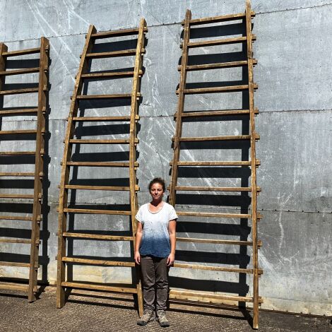Seige Ladders, 14 feet long (17 available) - RENTAL ONLY