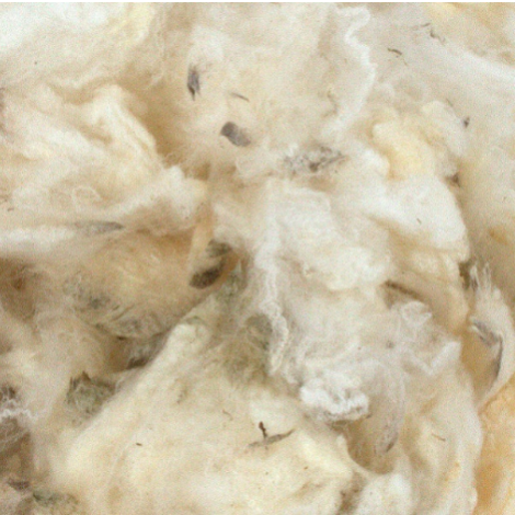 Vintage Wool Fleece x 1kg