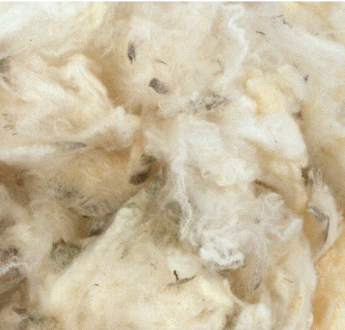 Vintage Wool Fleece – www.BrandonThatchers.co.uk 