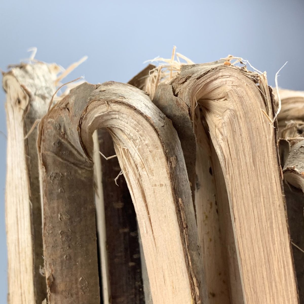 Bundle of twisted thatching spars