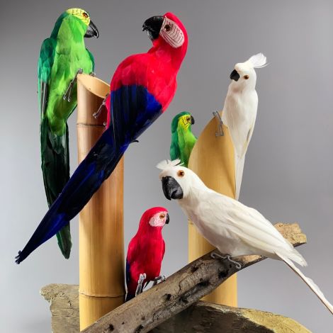 Amazon Parrot, Faux Feathered Friend - 30 or 50 cm Tall- Red, Green, Blue or White. THE must have Tiki Bar accessory!