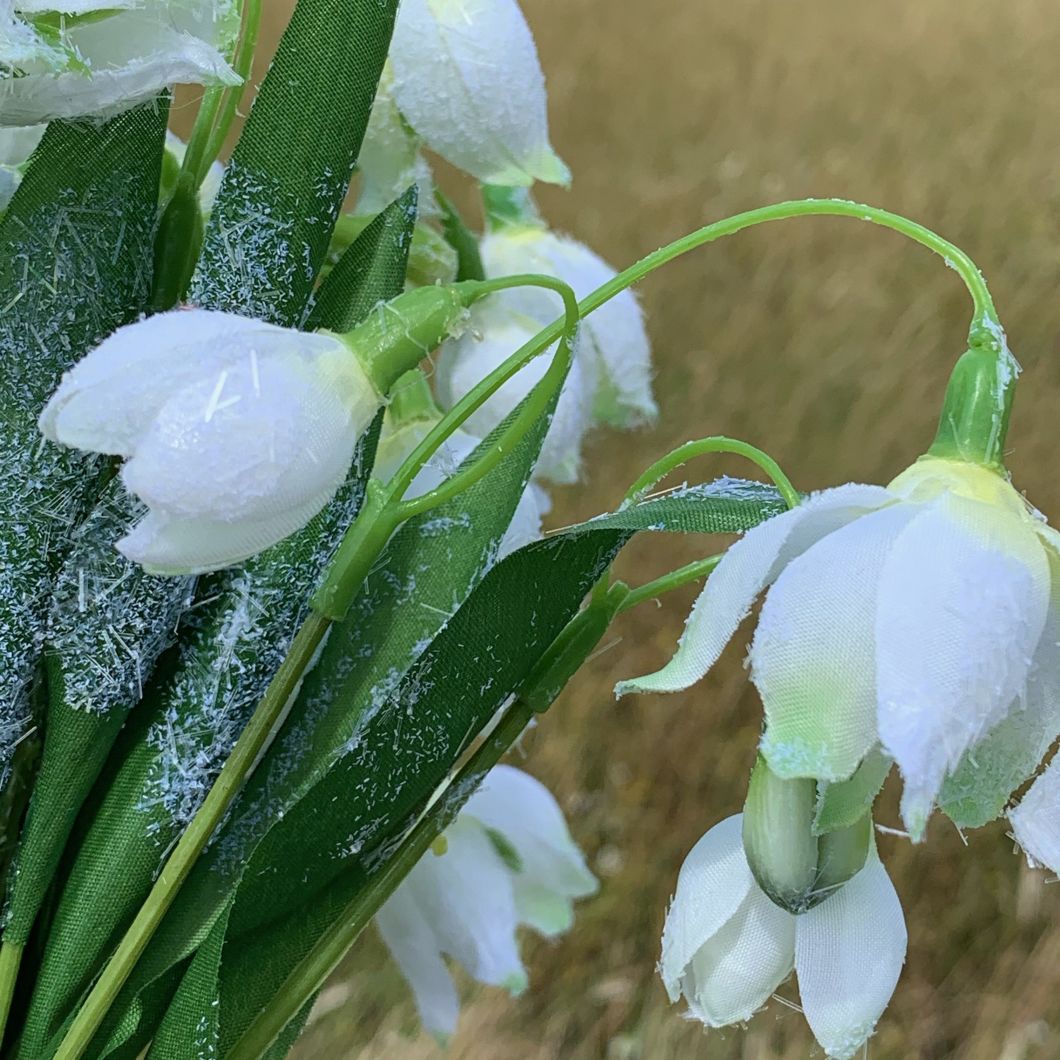 Snowdrops, Frosted Bunch 36 cm- www.BrandonThatchers.co.uk