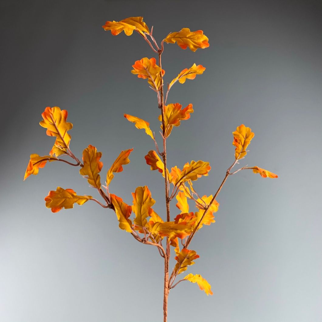 Autumn Oak - www.BrandonThatchers.co.uk Autumn Oak - www.BrandonThatchers.co.uk