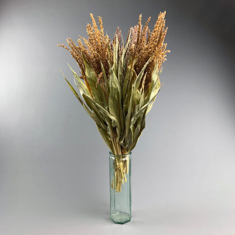 Maize Flowers, approx. 65 cm tall x 40 cm wide dried  bunch, indigenous, UK grown