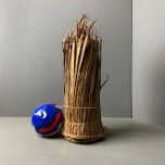 Palm Leaf - www.BrandonThathers.co.uk