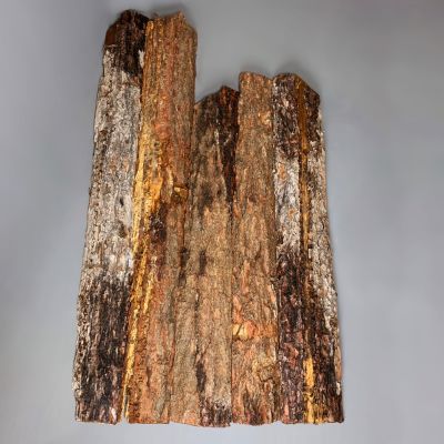 Bark On Rustic Cladding.
