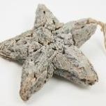 Star-Rebirth-Bark-30cm.jpg