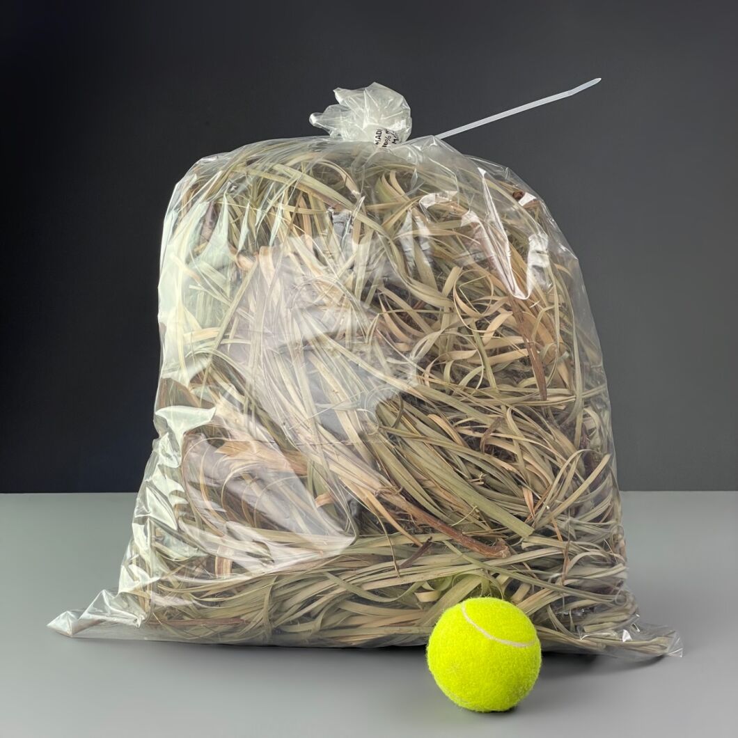 Brandon Thatchers Products IMG_5661 copy.jpg