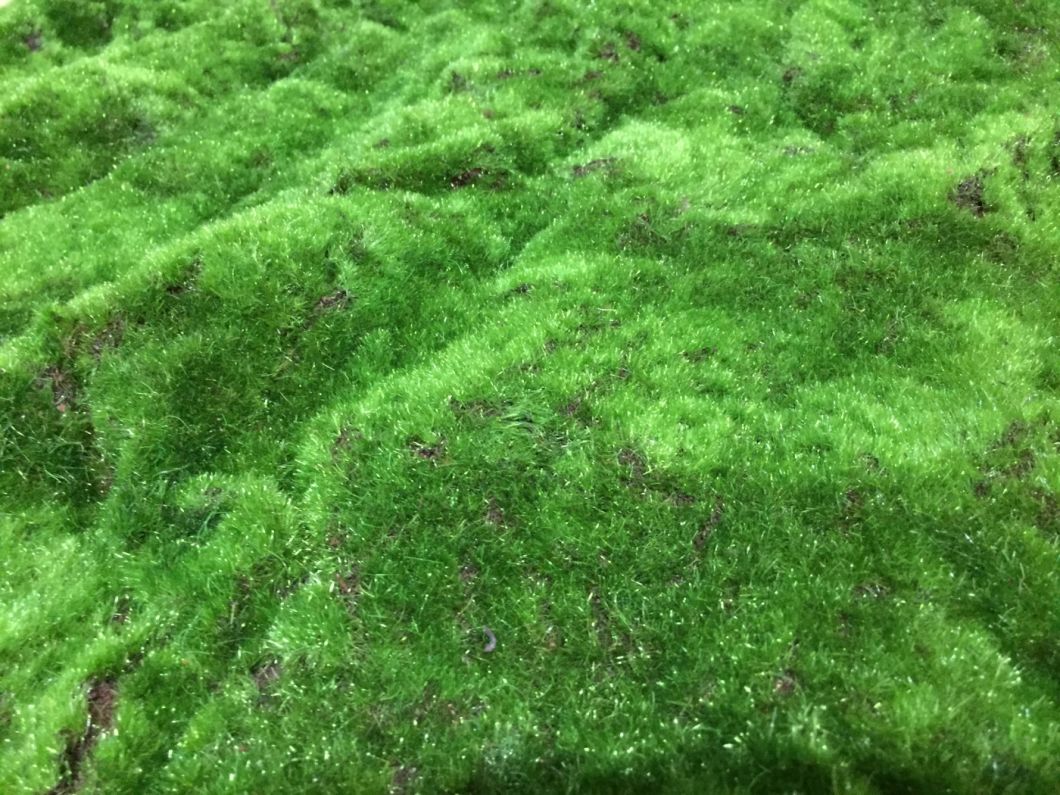 faux Moss - www.BrandonThathers.co.uk faux Moss - www.BrandonThathers.co.uk