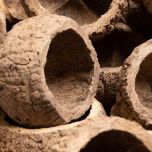 Coconut Shell - www.BrandonThathers.co.uk 25015-BrandonThatcher-web-size-29-7-20-400.jpg
