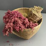 IMG_7702.jpeg