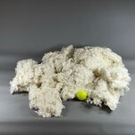 WOOL 1.jpg