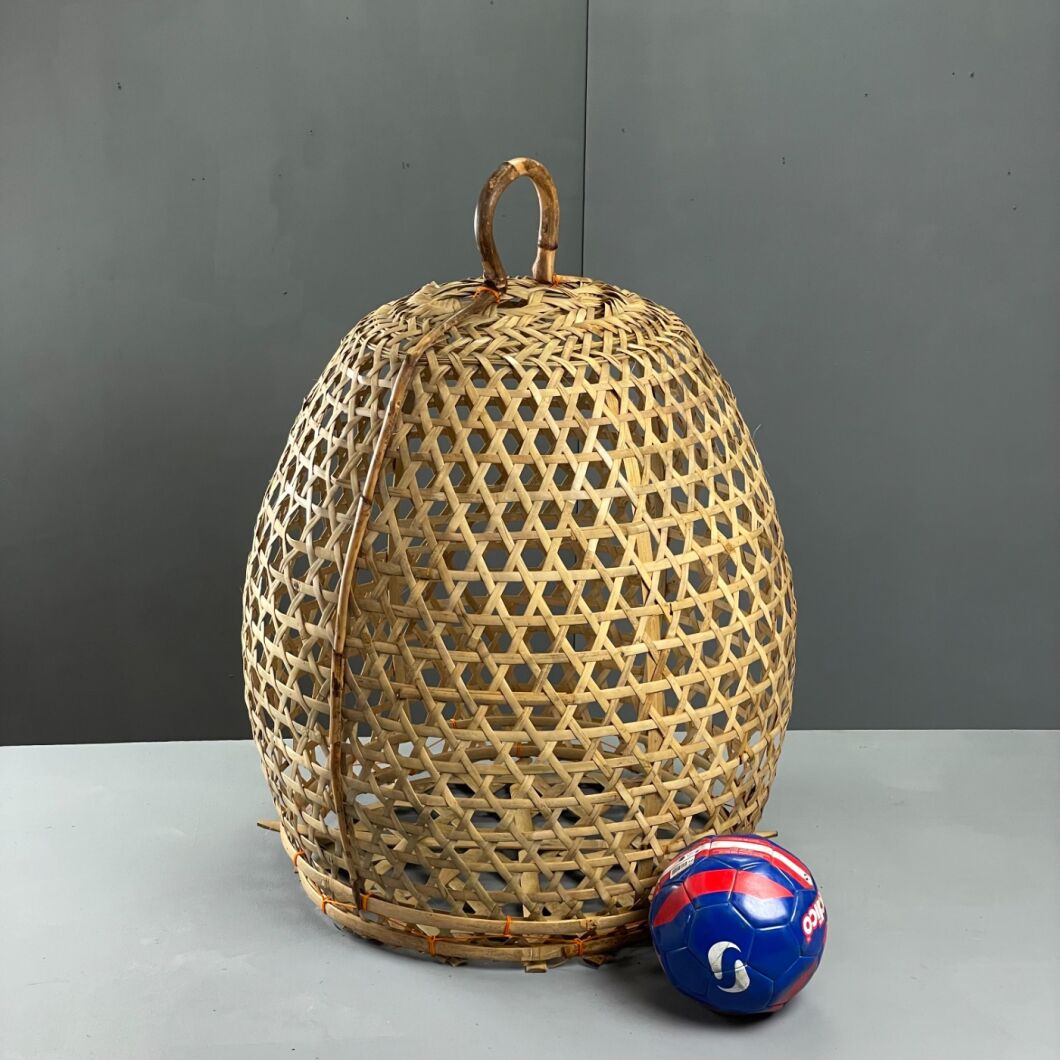 Brandon Thatchers Products IMG_4056.JPG