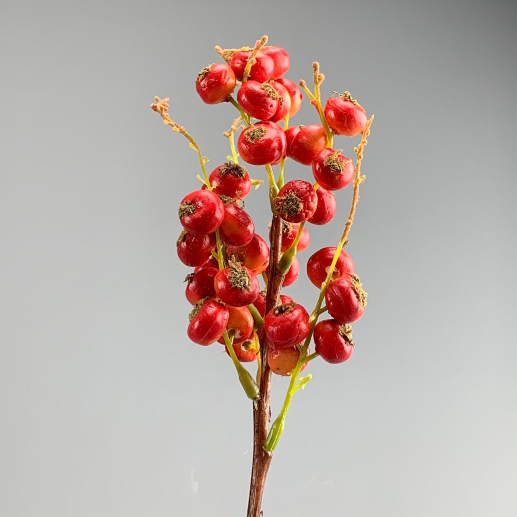 Bird Berries - www.BrandonThathers.co.uk IMG_6763.jpeg