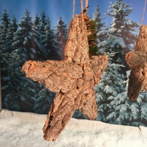 Silver Birch Bark Frosted Star