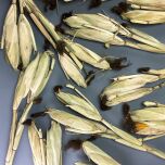 www.brandonthatchers.co.uk Wrapped maize heads 13 MHW2 copy.jpg