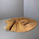 Palm Leaf - www.BrandonThathers.co.uk