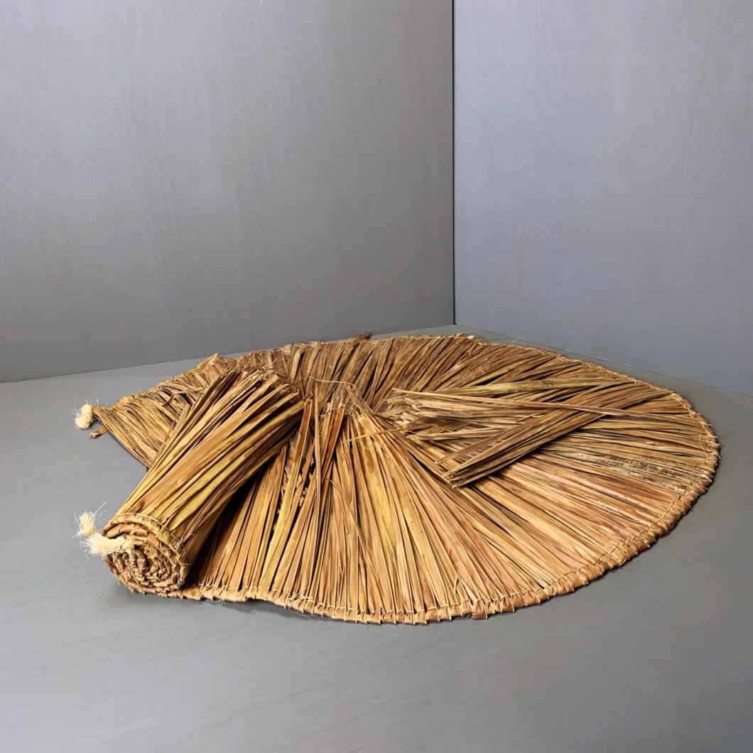 Palm Leaf - www.BrandonThathers.co.uk