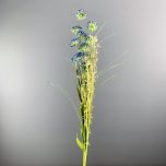 Wildflower, Cornflower, Blue, 53cm tall - www.BrandonThatchers.co.uk