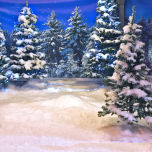 Snow - www.BrandonThathers.co.uk Snow 3.jpg