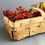 Produce Punnets - www.BrandonThathers.co.uk IMG_5125.jpg