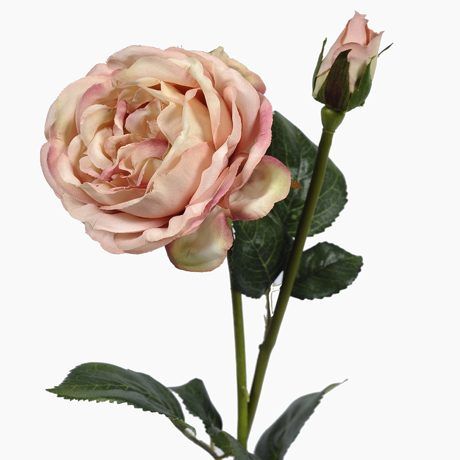 Vintage-Rose-Peach-48cm-e1524488750473.jpg Vintage-Rose-Peach-48cm-e1524488750473.jpg