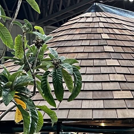 Brandon Thatchers Materials Red Cedar Shingles for  Replacement & DIY Fitting