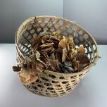 Brandon Thatchers Props IMG_5989.jpeg