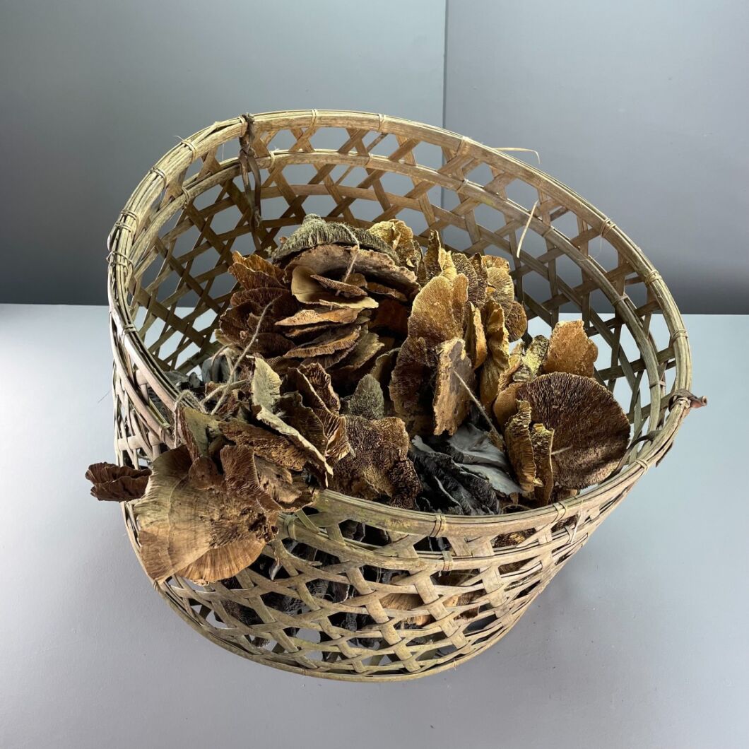 Brandon Thatchers Props IMG_5989.jpeg