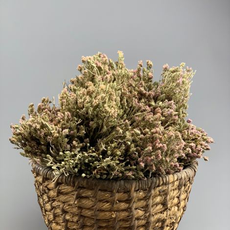 Thyme, 20cm long by 10 cm wide dried herb bunch, indigenous UK grown