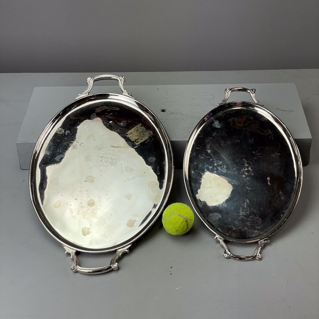 www.brandonthatchers.co.uk Silver trays x 6 -3 STx6 4.jpg