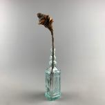 Shrieking Cone - www.BrandonThathers.co.uk IMG_4113.jpg