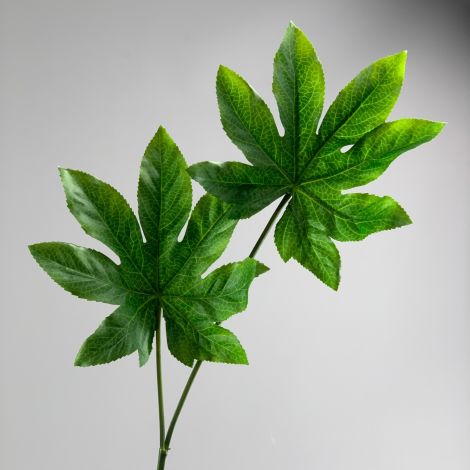 IMG_6409.jpeg Arali Leaf Double Spray 58 cm artificial leaf posable wire stem