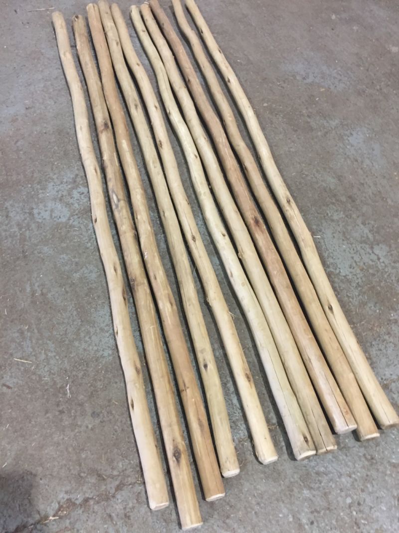 Eucalyptus Poles Cleaned treated outdoor use