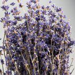 Lavender 30cm long - www.BrandonThatchers.co.uk