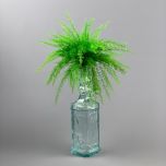 Fine Fern - www.BrandonThathers.co.uk IMG_1453.jpg