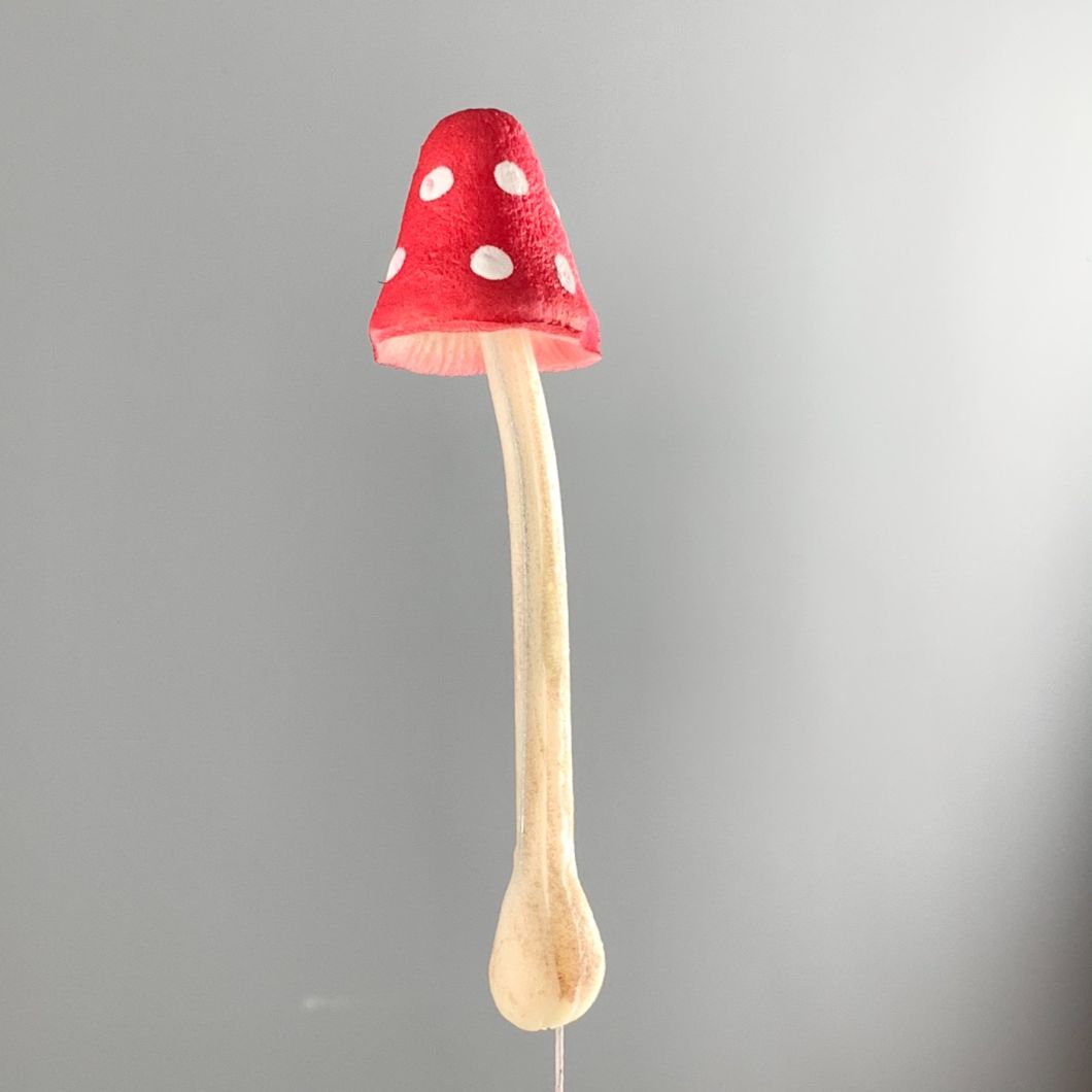 Faux Fungi- www.BrandonThathers.co.uk IMG_2317.jpeg