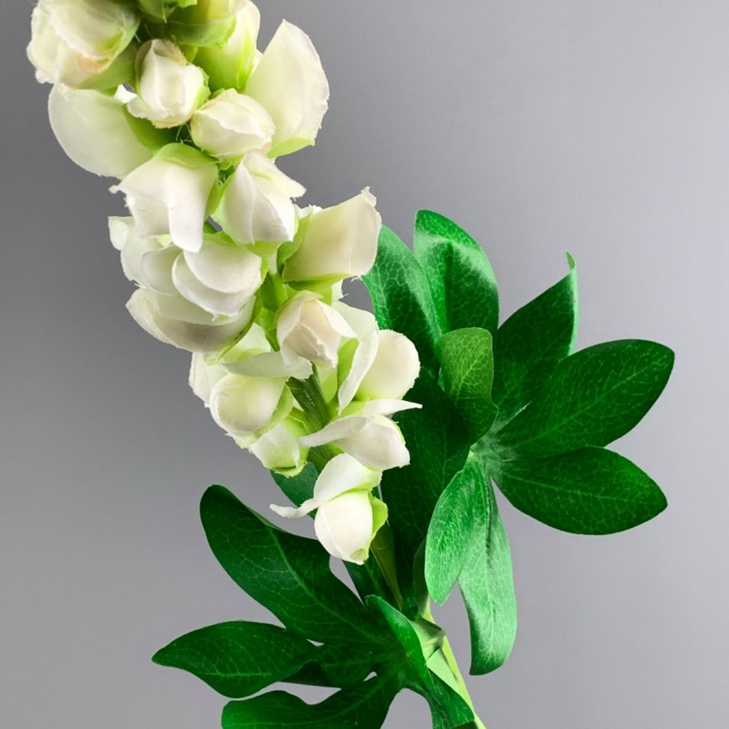 Lupin Cream - www.BrandonThathers.co.uk IMG_1061.jpg