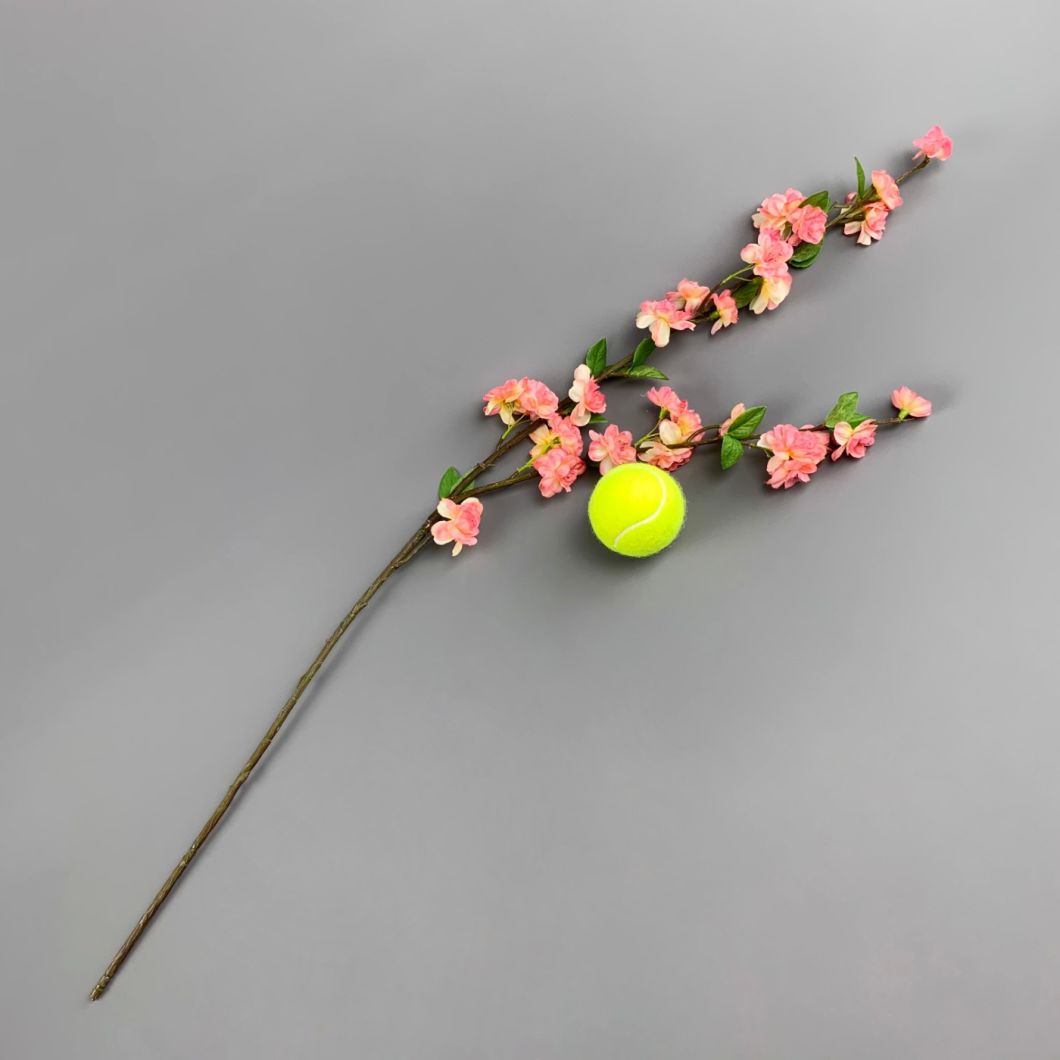 Peach Blossom - www.BrandonThathers.co.uk IMG_1079.jpg