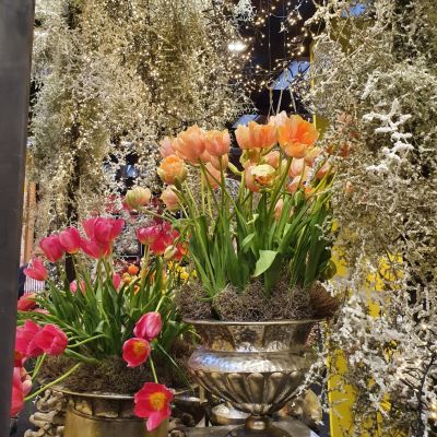 Floral Deco Supply & Instillations