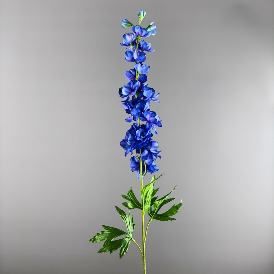 Delphinium Blue 86 cm - www.BrandonThatchers.co.uk