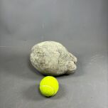 www.brandonthatchers.co.uk Green Wash Coconute 1 GREEN WASH COCONUT 3.jpg